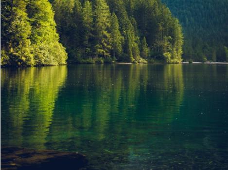 食品工業廢水處理造紙工業廢水處理方法有哪些 食品工業廢水處理造紙工業廢水處理方法有哪些